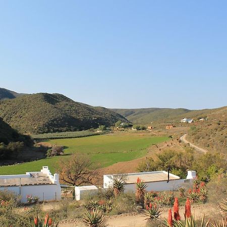 Matjiesvlei Guestfarm Βίλα Calitzdorp Εξωτερικό φωτογραφία