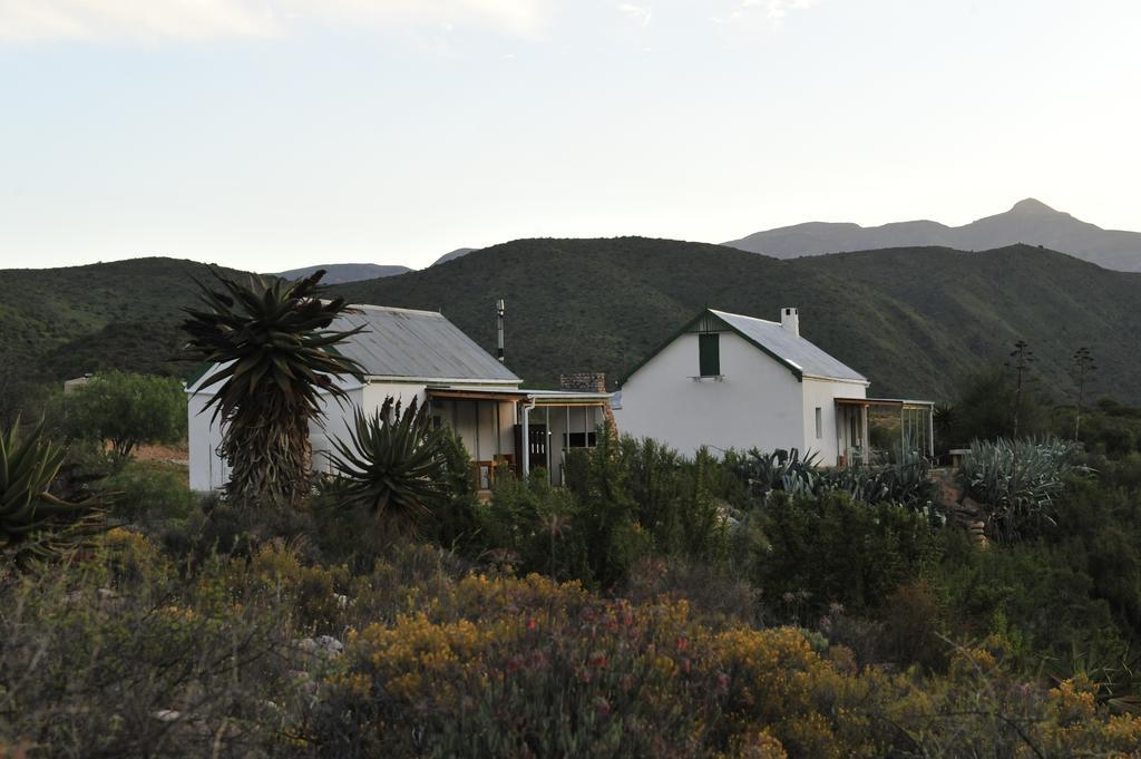 Matjiesvlei Guestfarm Βίλα Calitzdorp Εξωτερικό φωτογραφία