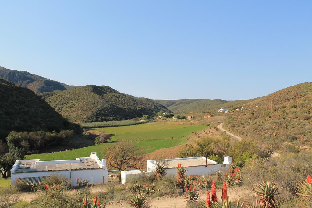 Matjiesvlei Guestfarm Βίλα Calitzdorp Εξωτερικό φωτογραφία