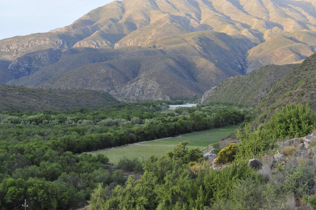 Matjiesvlei Guestfarm Βίλα Calitzdorp Εξωτερικό φωτογραφία